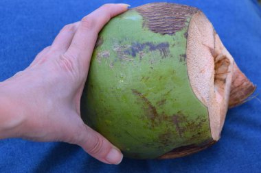 Mavi arkaplanda organik hindistan cevizi.