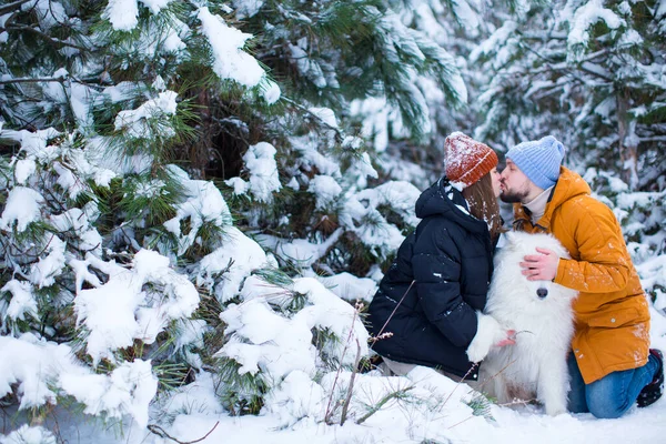 Young Girl Guy Kiss Background Snowy Forest Samoyed Dog Trying — Stock Photo, Image