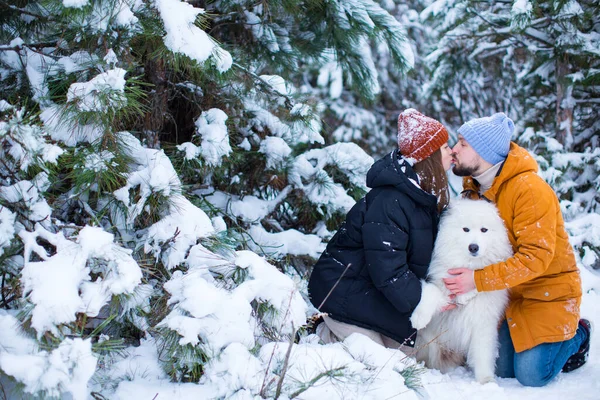 Young Girl Guy Kiss Background Snowy Forest Hug Pet Samoyed — Stock Photo, Image