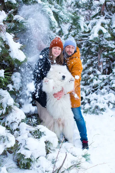 Молода Пара Собакою Самоті Стоїть Лісі Під Сосновими Деревами Сніг — стокове фото