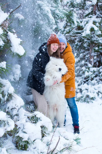 Молода Пара Собакою Самоті Стоїть Лісі Під Сосновими Деревами Сніг — стокове фото