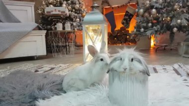 İki sevimli Noel tavşanı - biri gümüş kutuda, ikincisi şöminenin arka planında koşuşturuyor ve yılbaşı süslemeleri