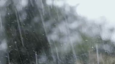 Şiddetli bir sağanağın penceresinden bak. Damlalar camdan aşağı akıyor. Kapatın. Sonbahar mevsimi.