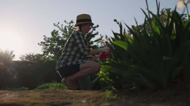 Una Mujer Está Trabajando Jardín Repente Agarra Espalda Con Dolor — Vídeos de Stock