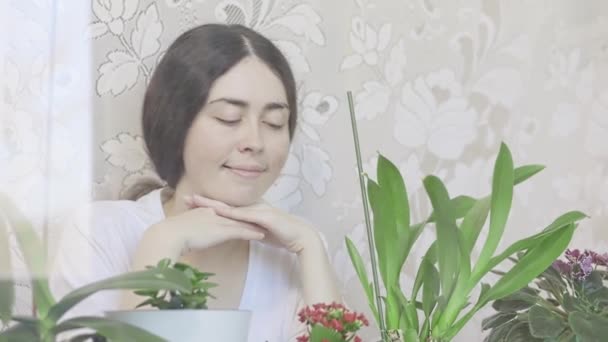 Portret Uśmiechniętej Kobiety Badającej Ogród Kwiatowy Parapecie Koncepcja Upraw Domowych — Wideo stockowe