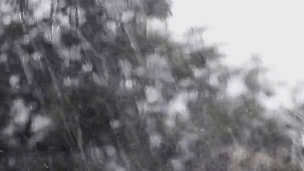 Вид Окна Дождливую Погоду Капли Стекают Стеклу Закрывай Осенний Сезон — стоковое видео