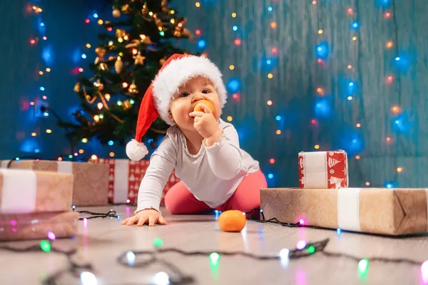 Gracioso Niño Sombrero Navidad Comiendo Mandarina Abeto Regalos Fondo Concepto — Foto de Stock