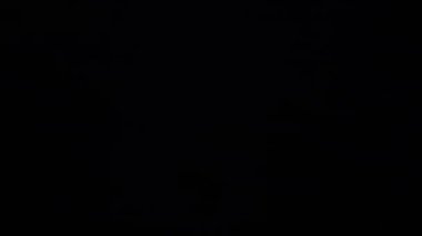 Domestic violence. A large sharp knife with blood is lying on the floor. Police siren is blinking. The concept of crime and murder.