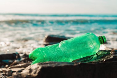Oken kıyısında yeşil bir plastik şişe var. Yakın plan. Uzayı kopyala Ekolojik felaket kavramı.