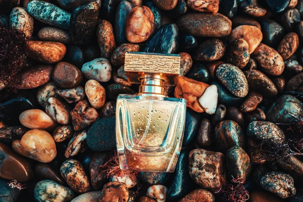 International Fragrance Day Golden Transparent Perfume Bottle Wet Pebble Beach — Foto de Stock
