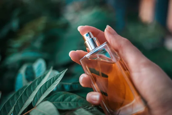 Female Hand Sprays Perfume Square Bottle Tropical Exotic Leaves Background — Stock Photo, Image