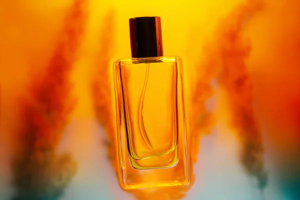 Glass Transparent Rectangular Perfume Bottle Golden Background Silhouette Stalks Perfume — Stock Photo, Image