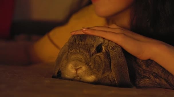 Close Portrait Pretty Smiling Woman Lying Bed Stroking Lop Eared — Stock Video