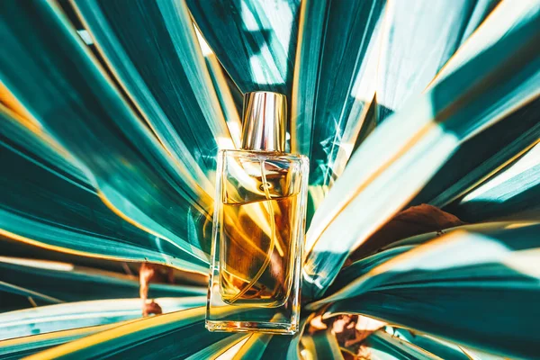 Frasco Rectangular Transparente Vidrio Perfume Dorado Que Yace Hojas Tropicales — Foto de Stock