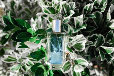 Tropikal yaprakların içinde duran saydam mavi parfüm şişesi. Üst Manzara. Parfümler ve kokular.