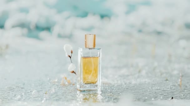 Una Botella Rectangular Vidrio Transparente Perfume Dorado Encuentra Cerca Ramita — Vídeos de Stock