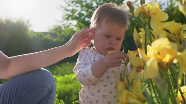 儿童孤独症一位母亲拥抱着她年幼的女儿 女儿摘下一朵黄色的虹膜花瓣 递给幕后的人 慢动作靠近点背景下的夏季公园 — 图库视频影像