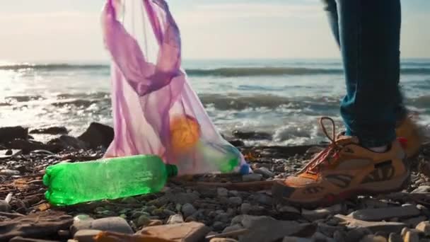 保護手袋のボランティアは 野生のビーチでペットボトルを収集し ゴミ袋に入れます 角度の低いビュー 生態系のクリーニングと環境汚染の海岸の概念 — ストック動画