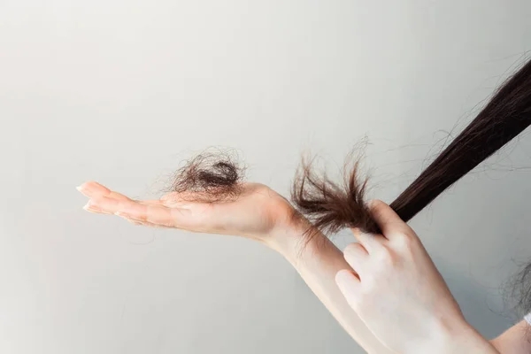 Tangan Wanita Memegang Ujung Rambut Dan Menunjukkan Sekelompok Rambut Yang — Stok Foto