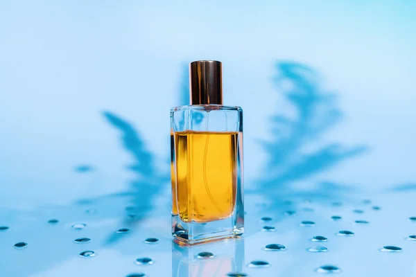 Frasco Rectangular Transparente Perfume Dorado Sobre Fondo Azul Con Sombras — Foto de Stock