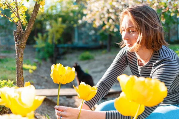 Mujer Rubia Caucásica Sentada Cortando Tulipanes Amarillos Jardín Fondo Jardín —  Fotos de Stock