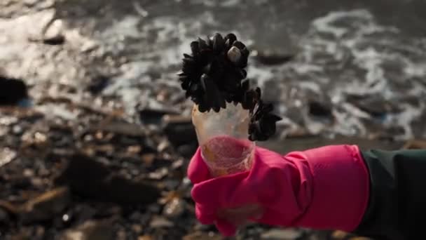 Earth Day Hand Protective Glove Holds Old Plastic Bottle Covered — Stock Video