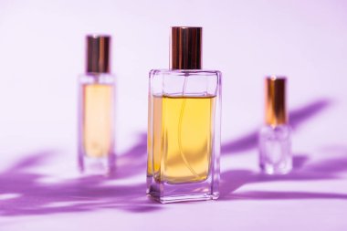 Three glass transparent rectangular bottles of golden perfume on lilac background with sunlight and shadows of leaves. Minimal style perfumery template.