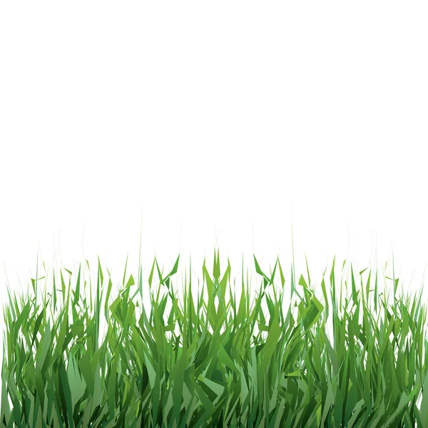 Gras op witte achtergrond — Stockvector