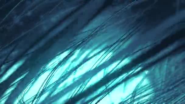 Μακριά Μαλλιά Κινούνται Στον Άνεμο Φόντο Μπλε Φως Γραμμένο Αφηρημένο — Αρχείο Βίντεο