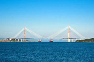 cable-stayed bridge to Russian Island clipart