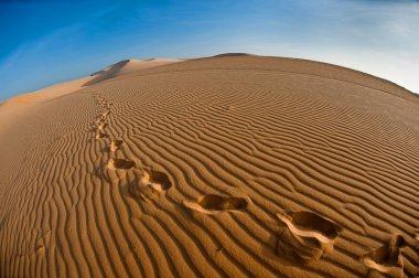 footprints in the sand clipart