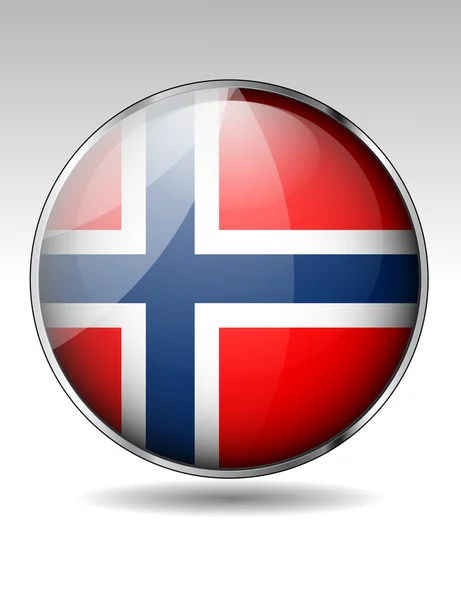 Norway flag icon — Stock Vector