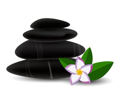 Spa taşlar ve frangipani çiçek