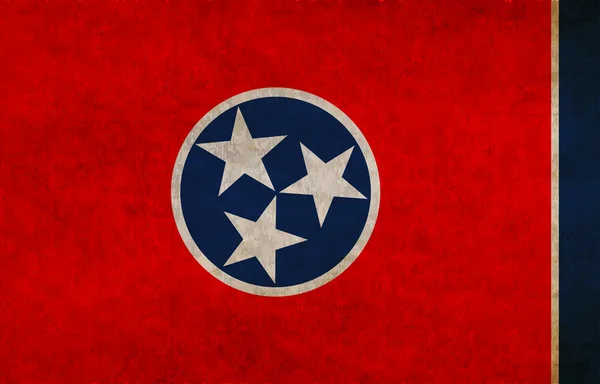 Vlag van tennessee — Stockvector