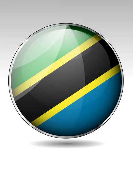 Botón bandera de Tanzania — Vector de stock