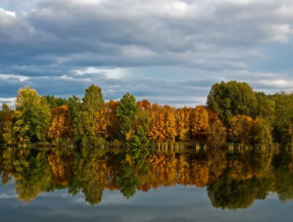 Золота осінь на спокійному озері — стокове фото