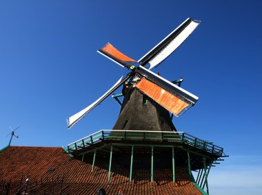 Zaanse tarlalarında yel değirmeni