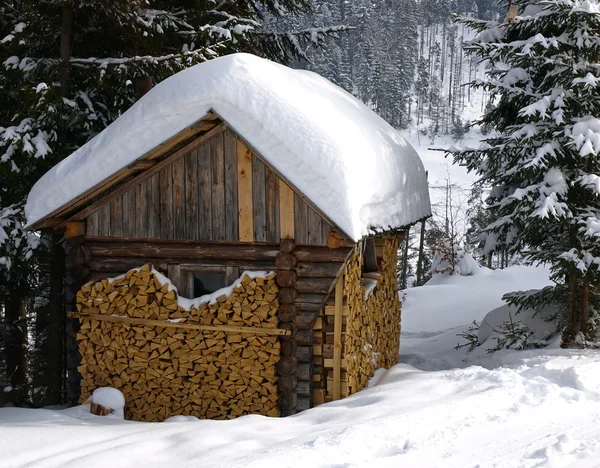 Stuga i snöiga skogen — Stockfoto