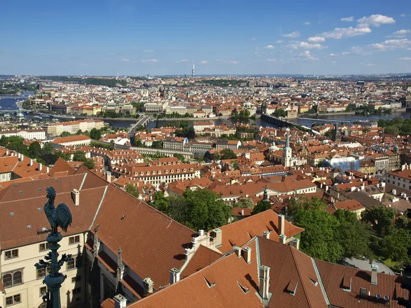 Dachy Pragi z dzwonowa wieża katedry st.vitus — Zdjęcie stockowe