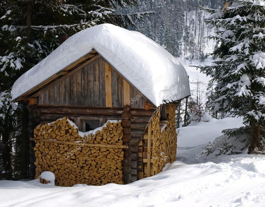 cabin in snowy forest