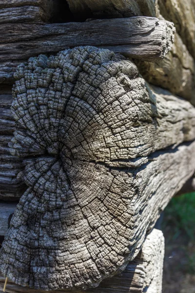 Bloque de madera del tronco viejo — Foto de Stock