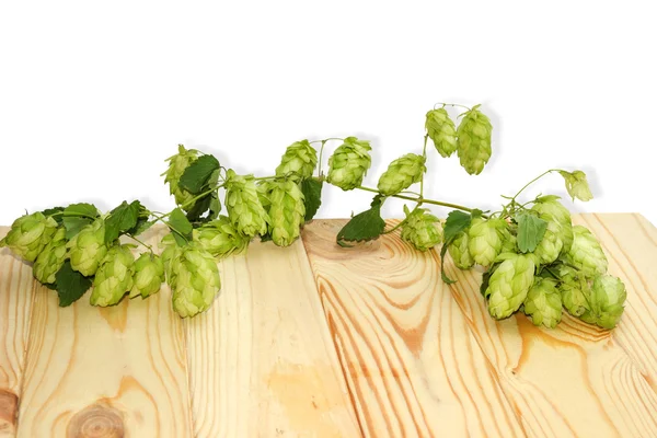 Hopfenzweig auf einem Holztisch — Stockfoto