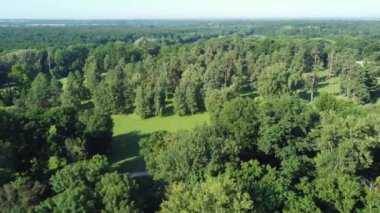 Yaz parkındaki eski ağaçların havadan görünüşü