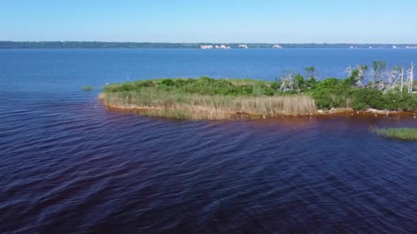 木々に覆われた貯水池の上の小さな島の空中ビュー — ストック動画