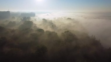 Sonbahar parkında ağaçların sisli havadan görünüşü