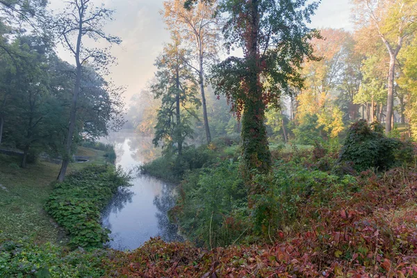 Güz Parkının Bir Bölümünde Sisli Bir Sabahta Göl Yaşlı Ağaçlar — Stok fotoğraf