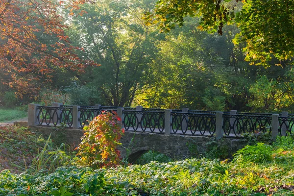 Dekorativní Klenutá Kamenná Lávka Podzimním Parku — Stock fotografie