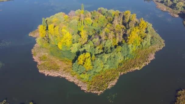 Eiland Begroeid Met Bos Tussen Het Meer Uitzicht Lucht — Stockvideo