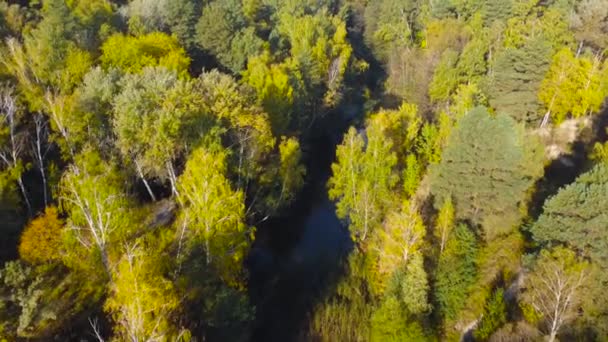 Vista Aérea Floresta Com Pequeno Lago Outono — Vídeo de Stock