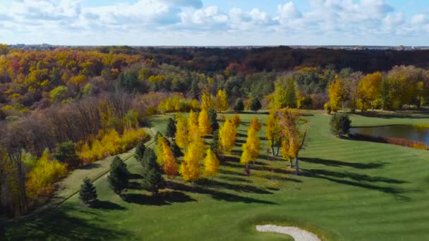 Парк Различными Деревьями Ветреную Осеннюю Погоду Вид Воздуха — стоковое видео